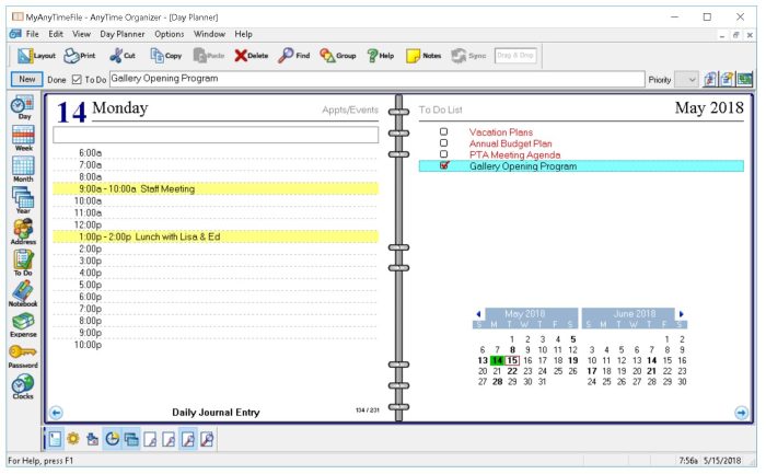 AnyTime Organizer 16 calendar daily view with To Do list.