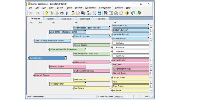 Easily identify individuals and family lines with color coding.