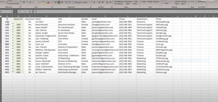 Fill in the OrgChart template with key data to create a chart with one click